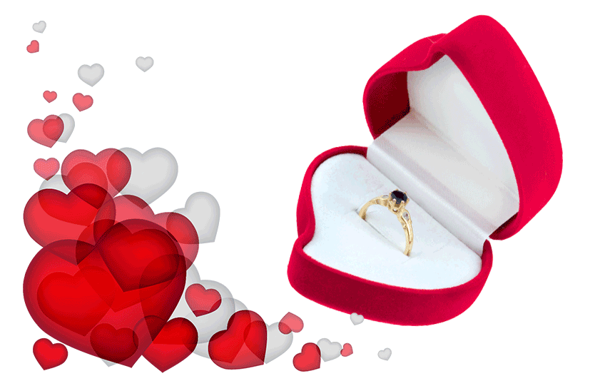 Andhra Nikah Software